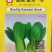夏龙7号青梗菜