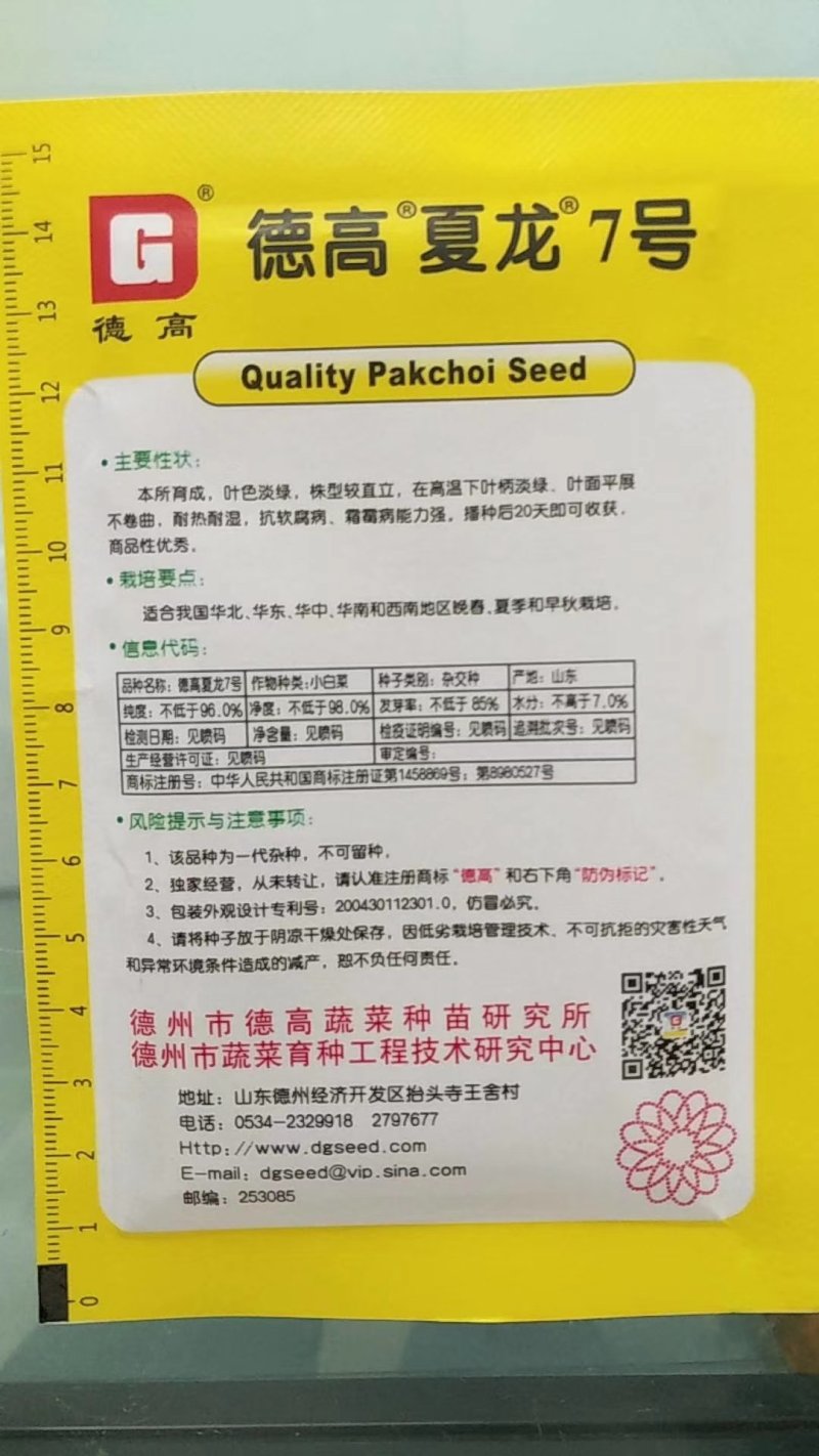 夏龙7号青梗菜