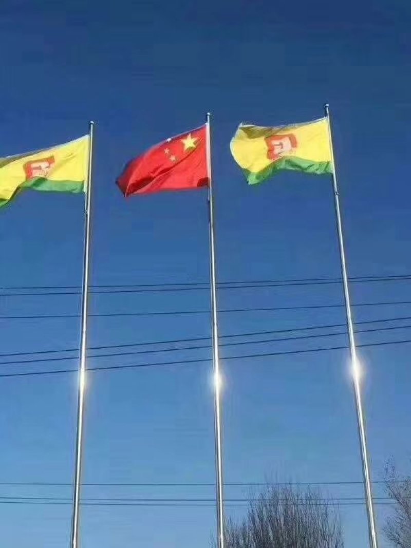 德高绿翔青菜