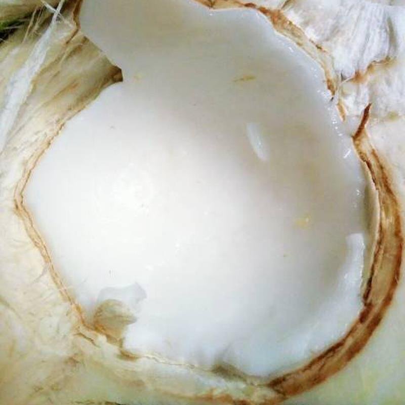 椰青六个装，带皮鲜果
