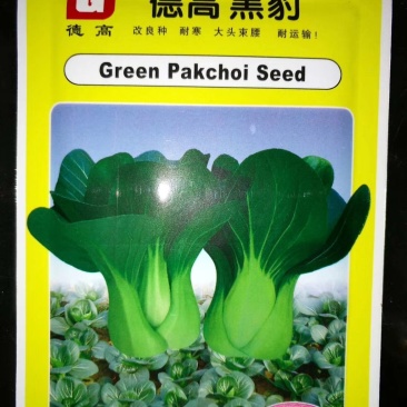 德高黑豹青梗菜