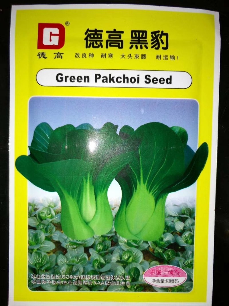 德高黑豹青梗菜