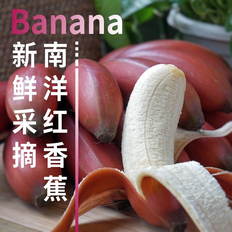 红香蕉五斤装