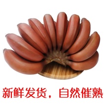 红香蕉五斤装