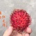 红毛丹