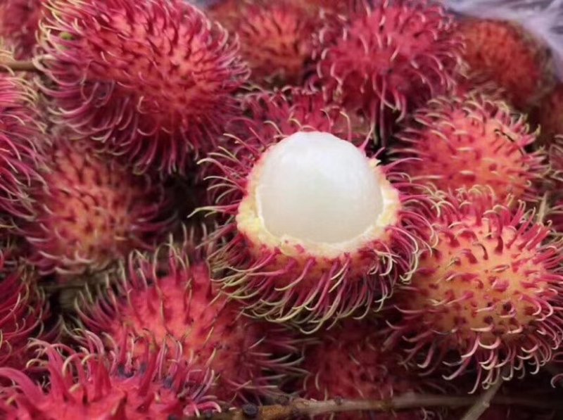 红毛丹