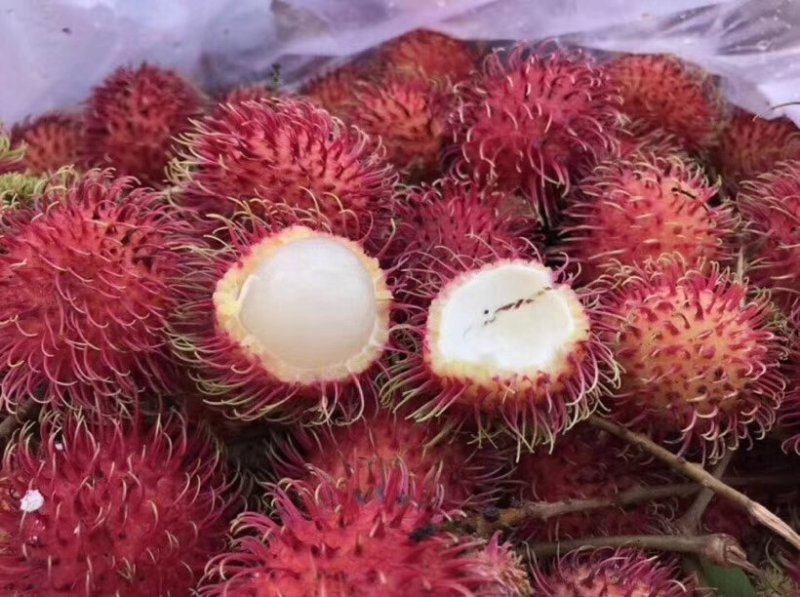 红毛丹