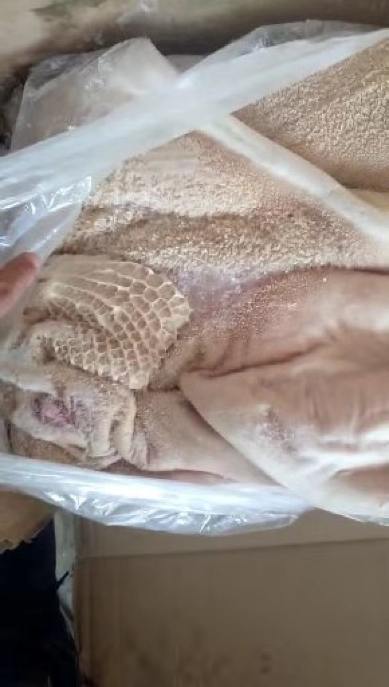 牛肚