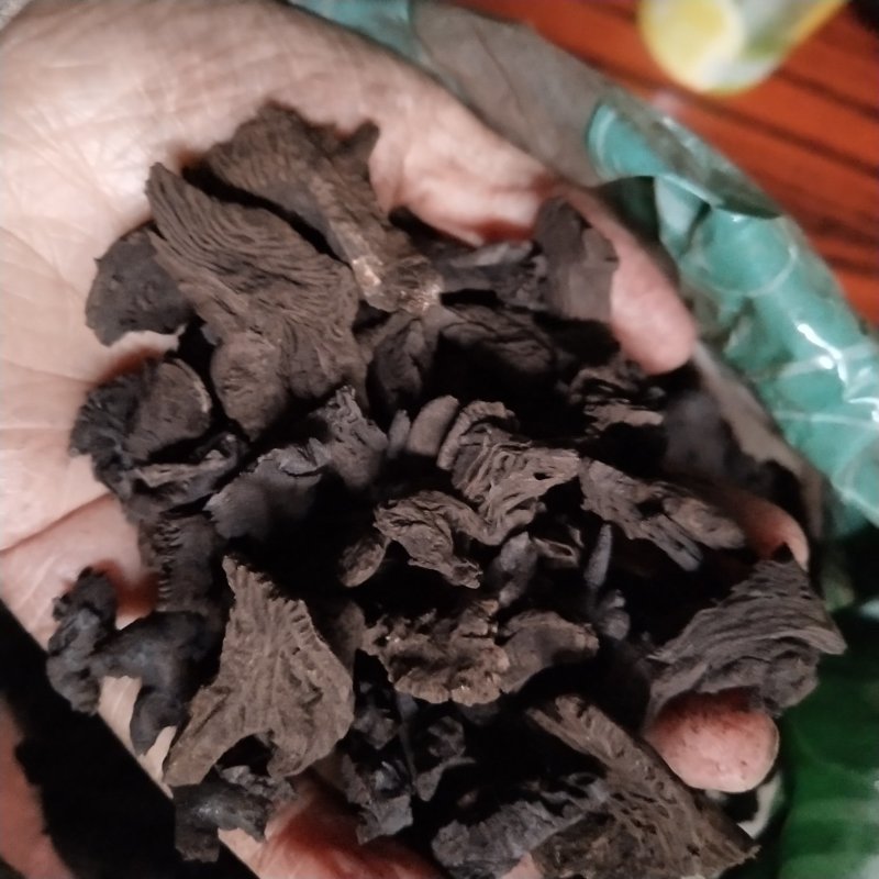 升麻炭