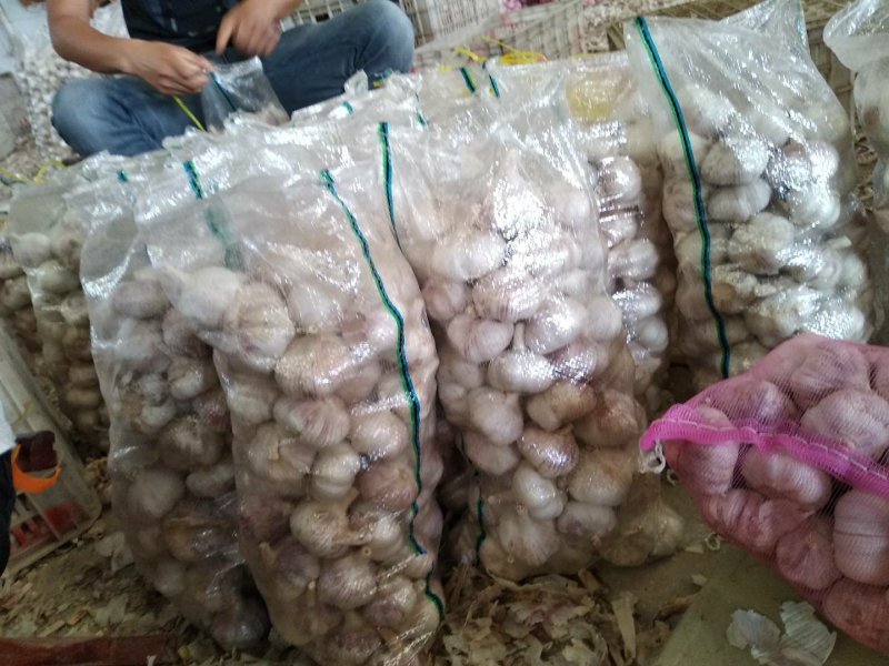 金乡大蒜10斤亮袋包装原产地发货保质保量欢迎来电