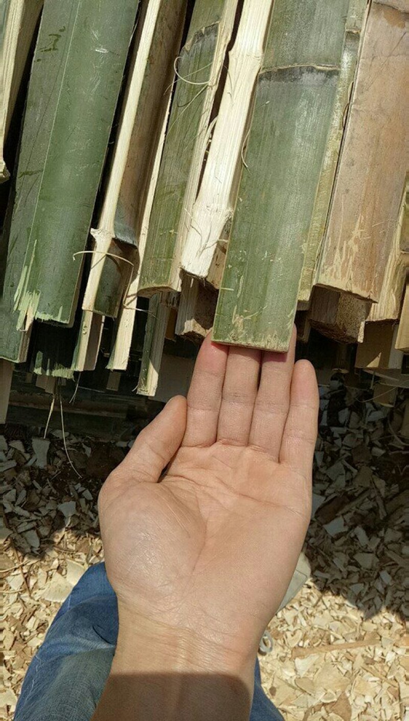 竹片