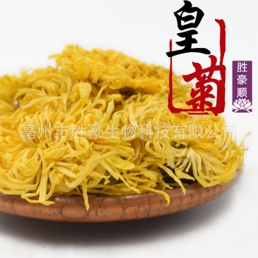 金丝皇菊