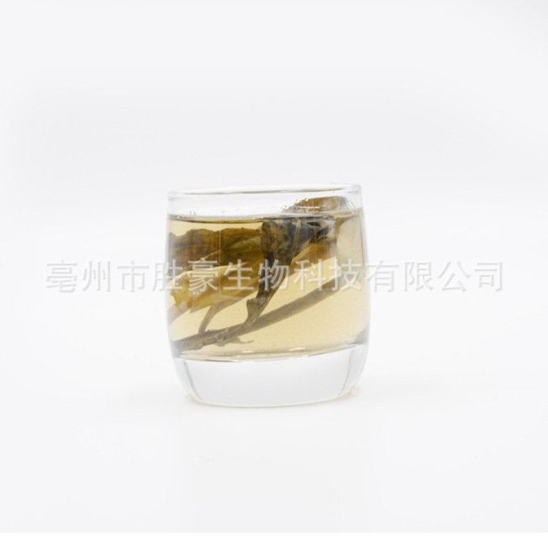 苦丁茶