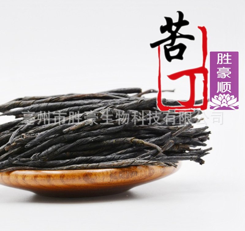 苦丁茶