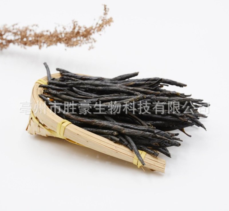 苦丁茶