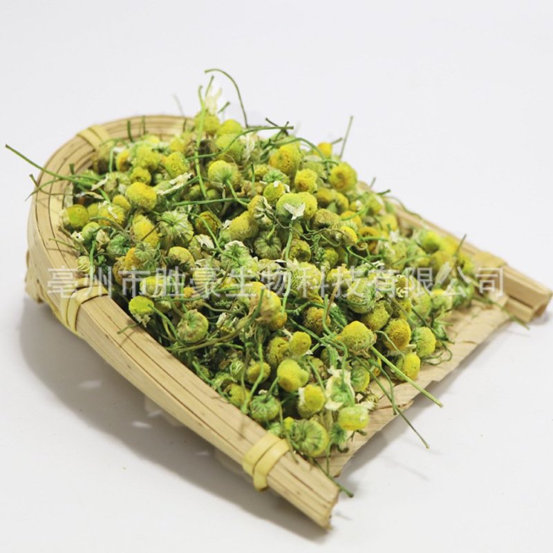 洋甘菊