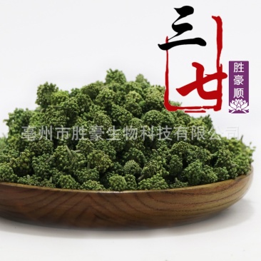 三七花