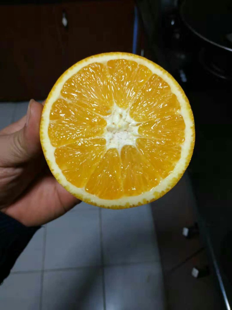 赣南脐橙