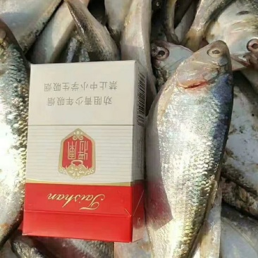 高品质，质量好，有需要的联系！！！个人一手货源！！！