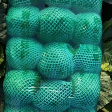 大量甘兰，花菜，芹菜，菠菜，香菜，油麦