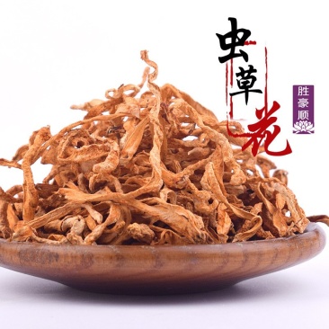 虫草花