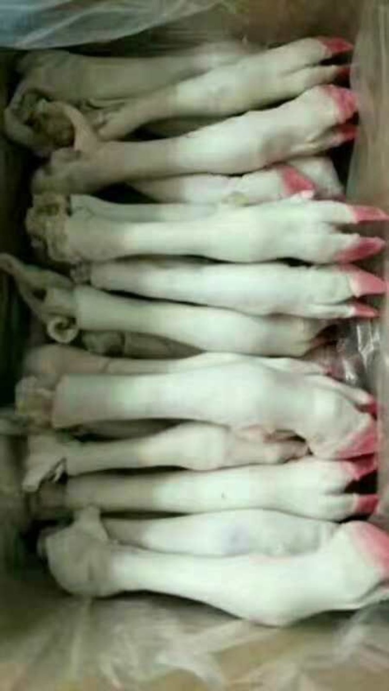 羊头肉
