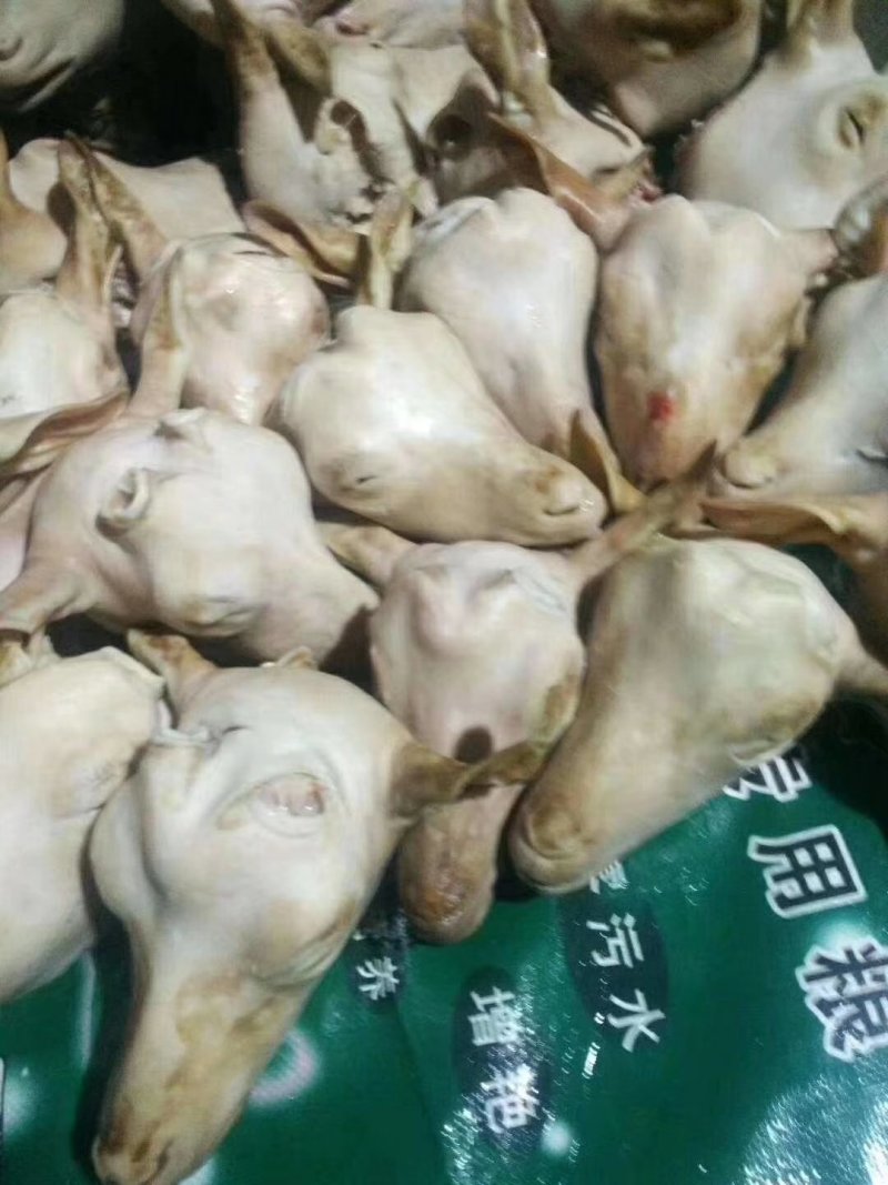 羊头肉