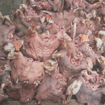 羊头肉