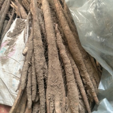 白嘴，紫药巴掌