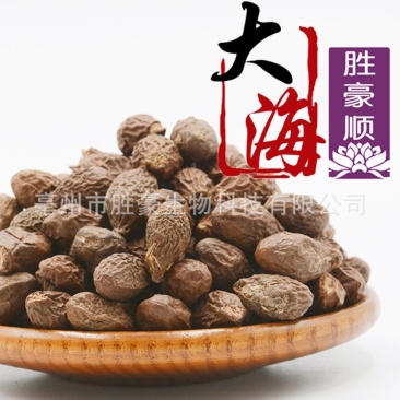 胖大海