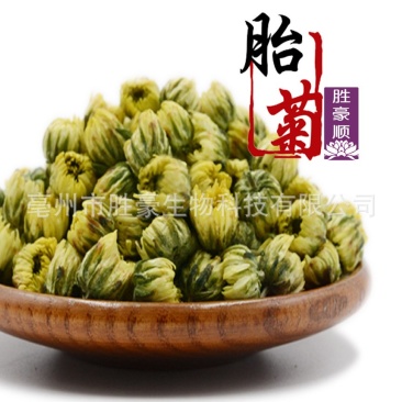 胎菊