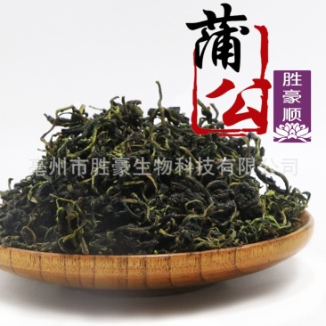 蒲公英茶
