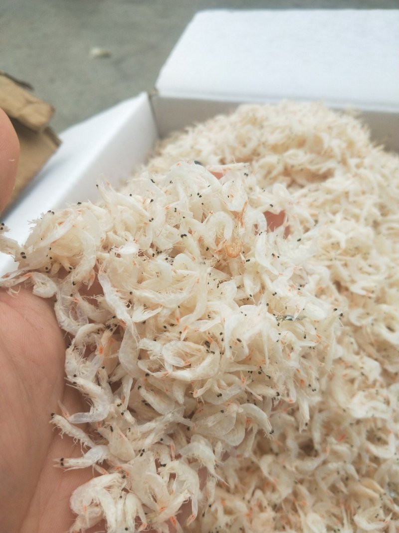 淡干虾皮