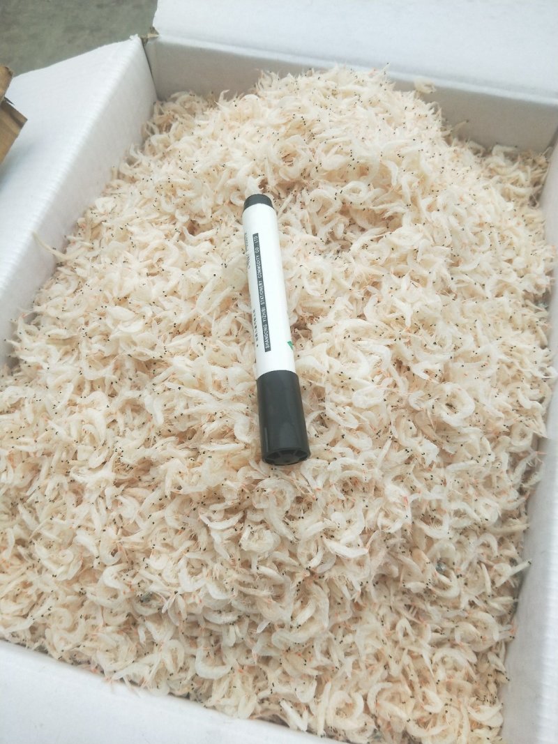 淡干虾皮