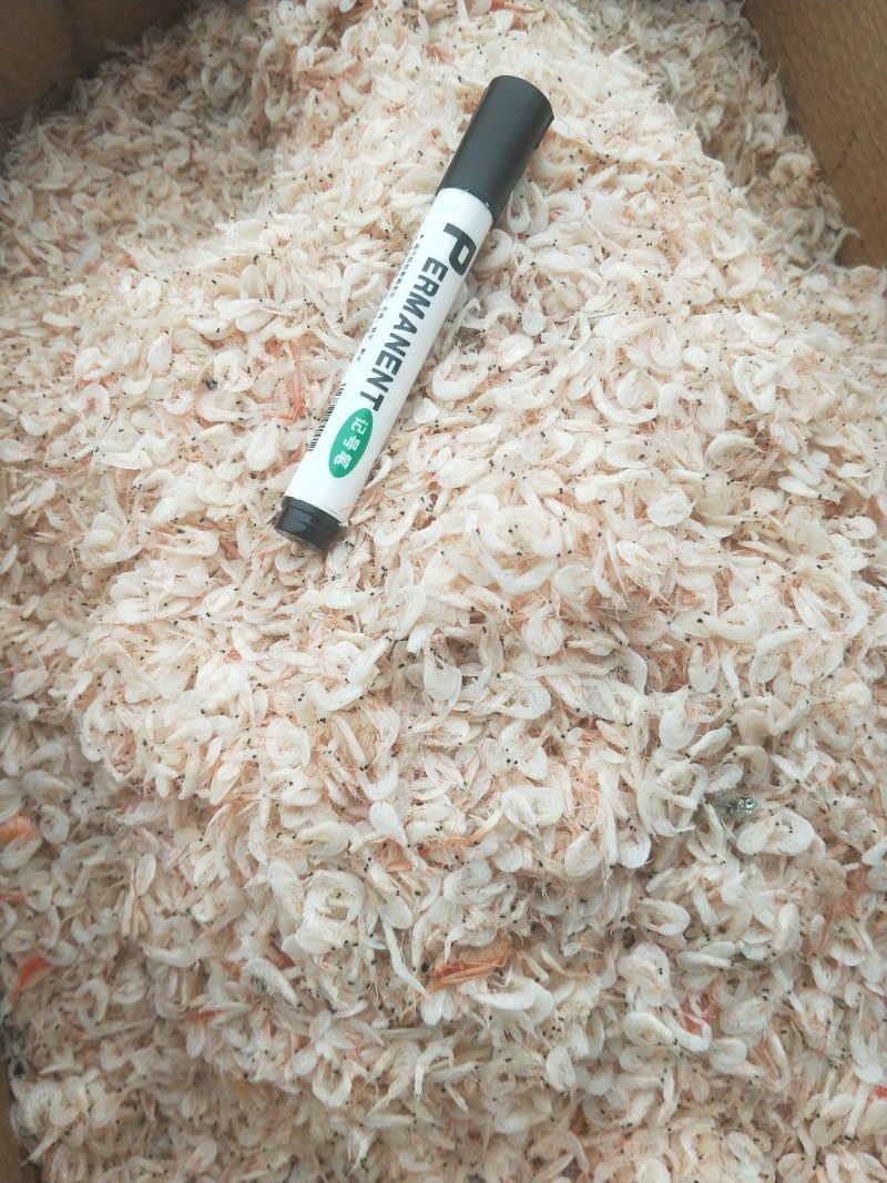 虾皮