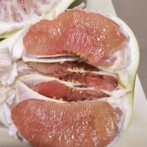 柚子