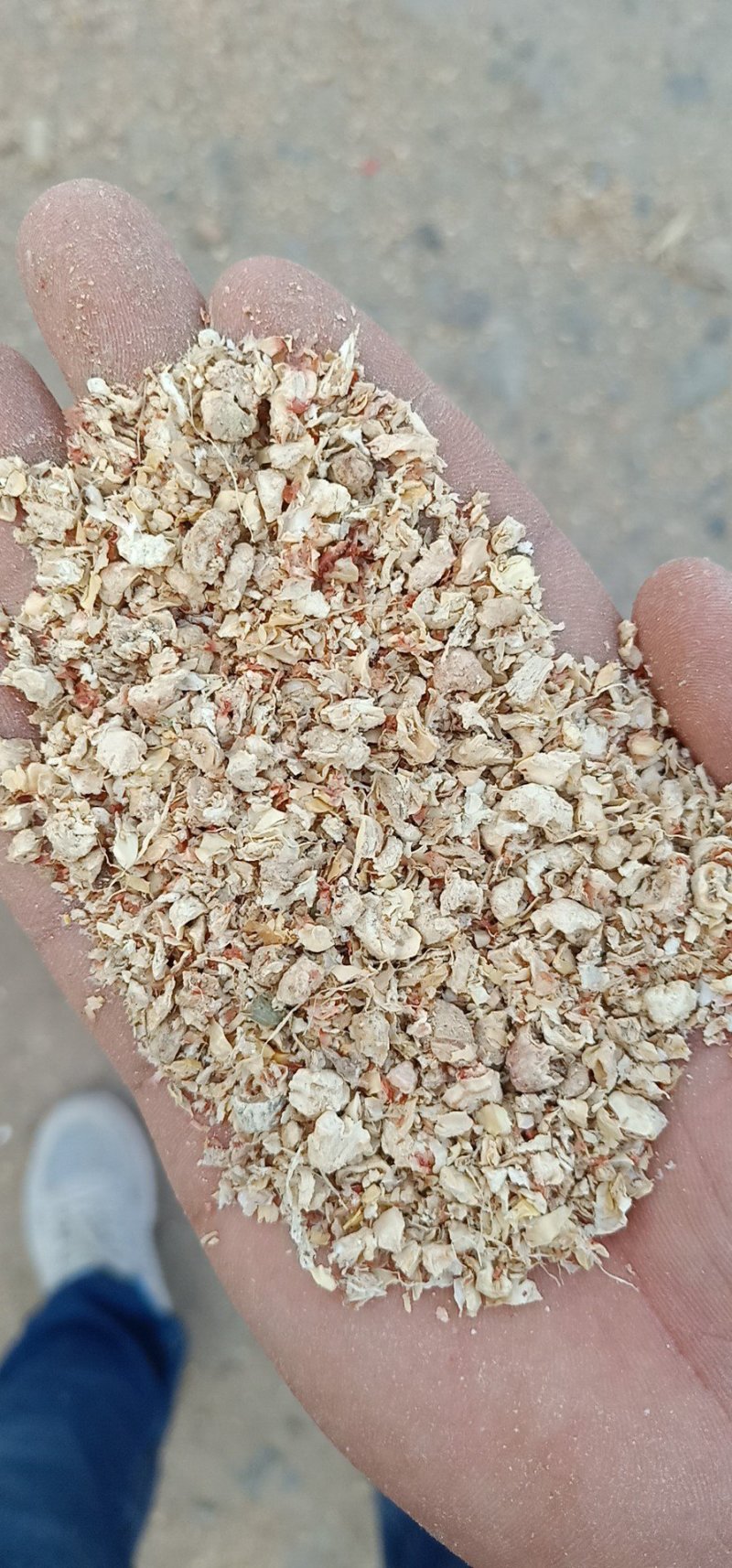 山东省菏泽市郓城县常年大量供应玉米芯颗粒，可达工厂化要求