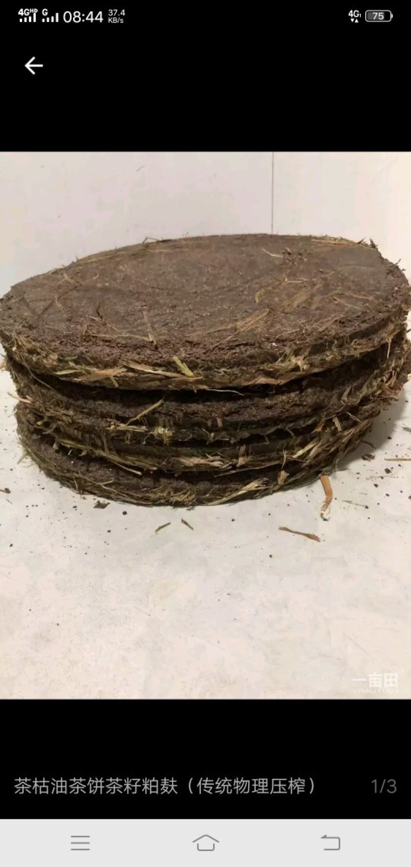 贝类鲜货