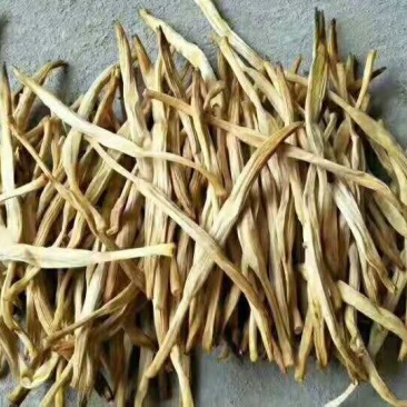 黄花菜
