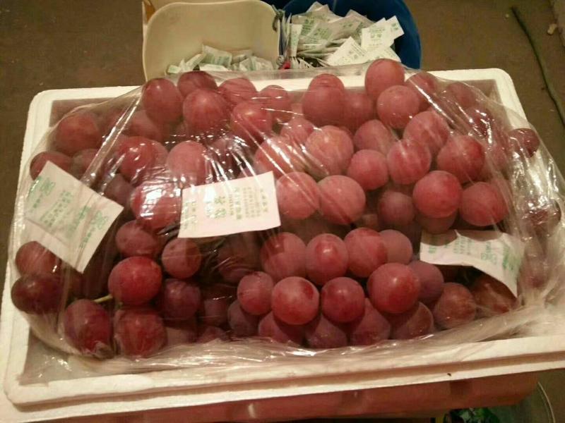 【红提】精品葡萄产地直销保质保量代发全国