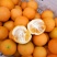 重庆奉节脐橙大量上市