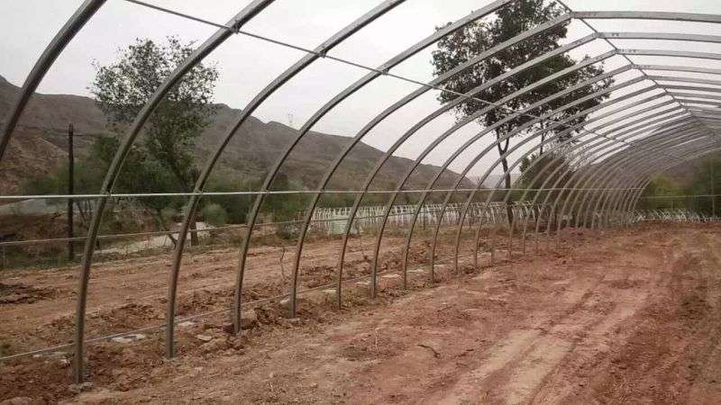 热镀锌钢管椭圆管包塑管养殖大棚专业钢管