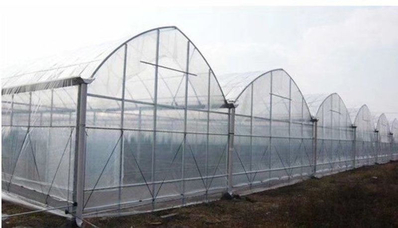 热镀锌钢管椭圆管包塑管养殖大棚专业钢管