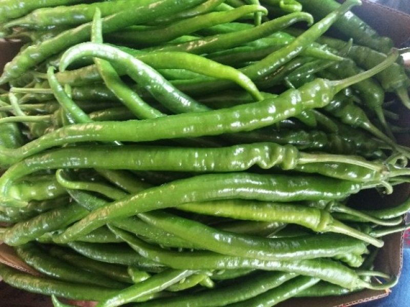 白玉豆