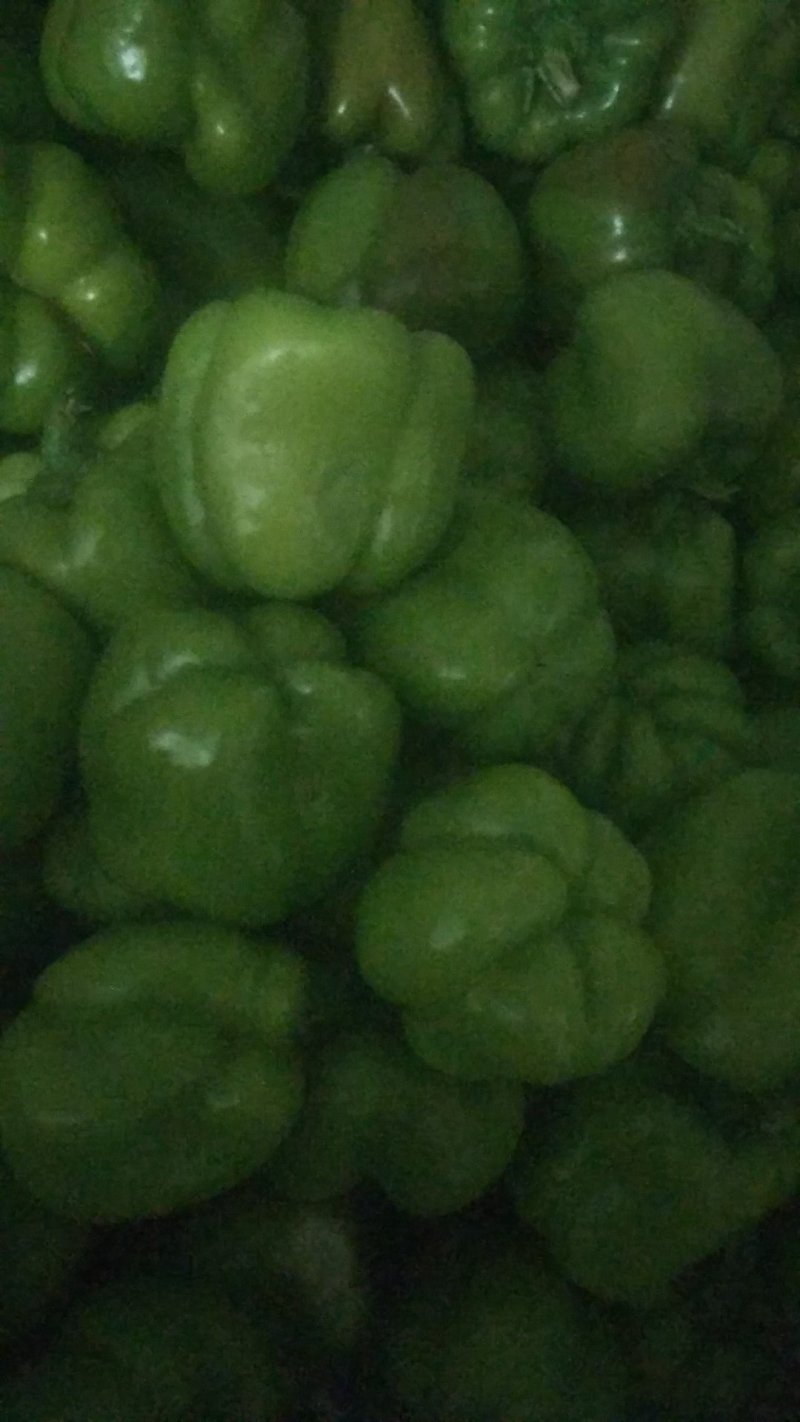白玉豆