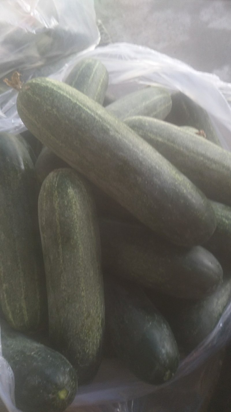 白玉豆