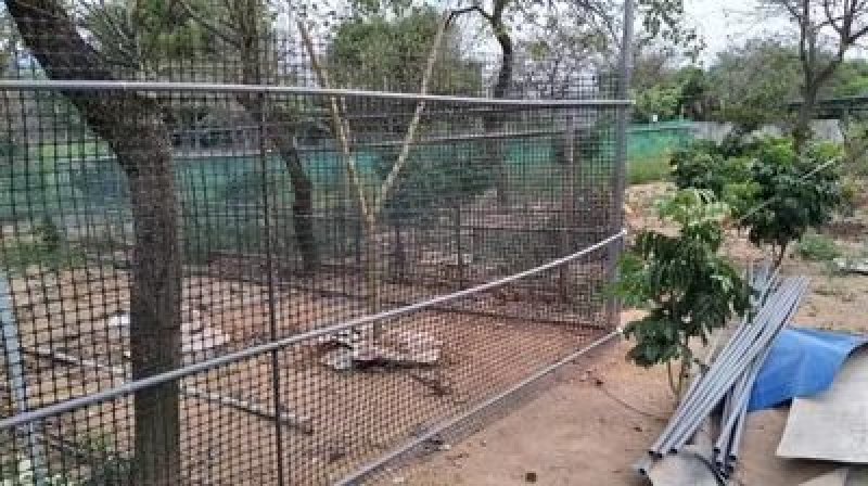 加厚玉米网圈地围栏网拦鸡网鱼塘防护网大棚防兜水网