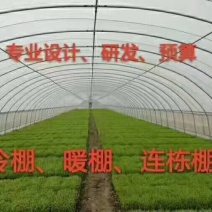 天津成套大棚，温室骨架，冷棚，暖棚，连栋棚，厂家直销