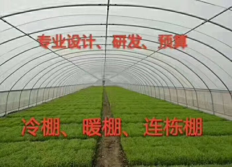 天津成套大棚，温室骨架，冷棚，暖棚，连栋棚，厂家直销