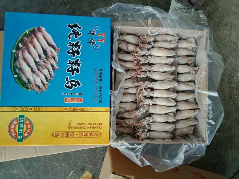 全籽海兔